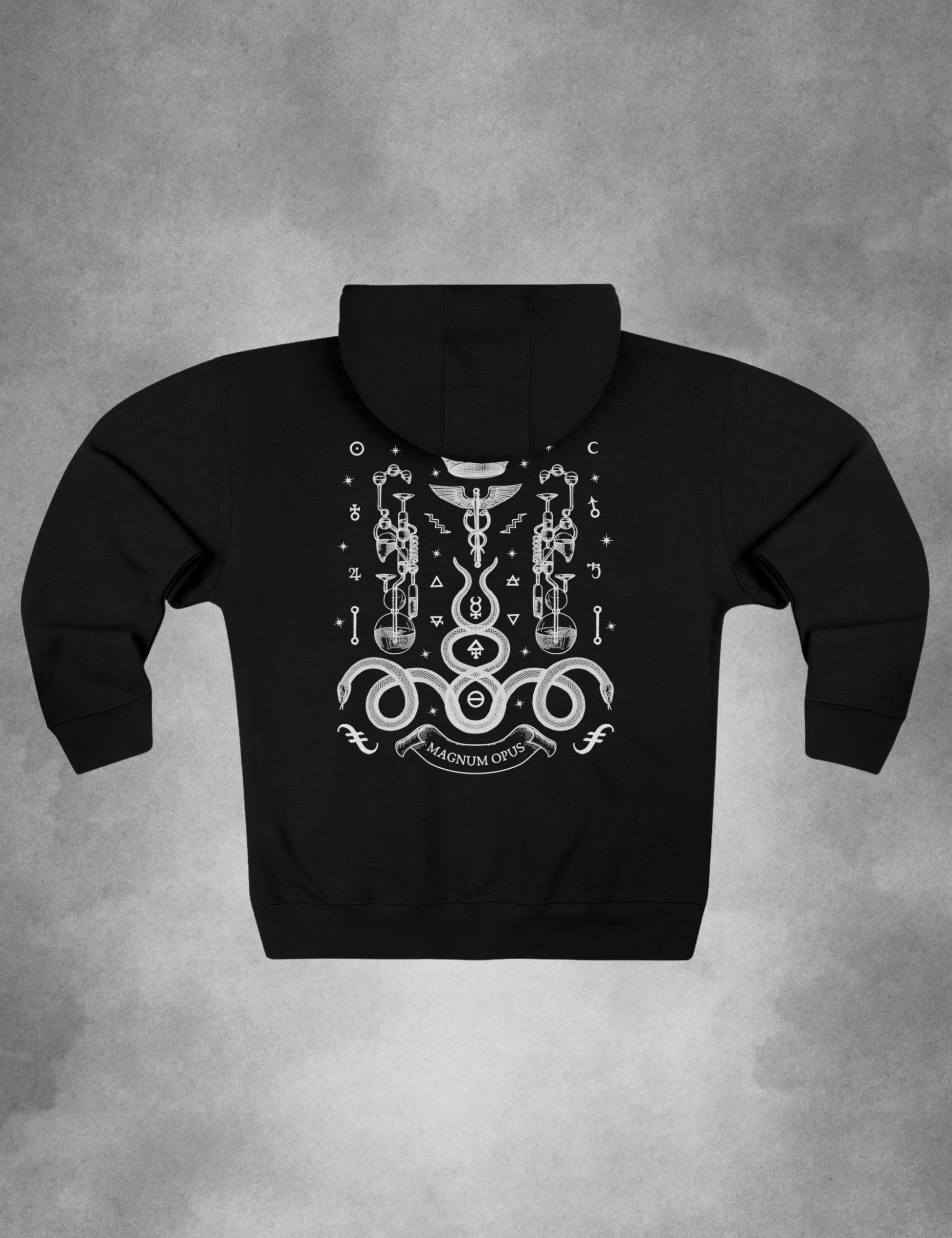 Alchemy Occult Snake Magnum Opus Plus Size Goth Witchy Esoteric Zip Up Hoodie
