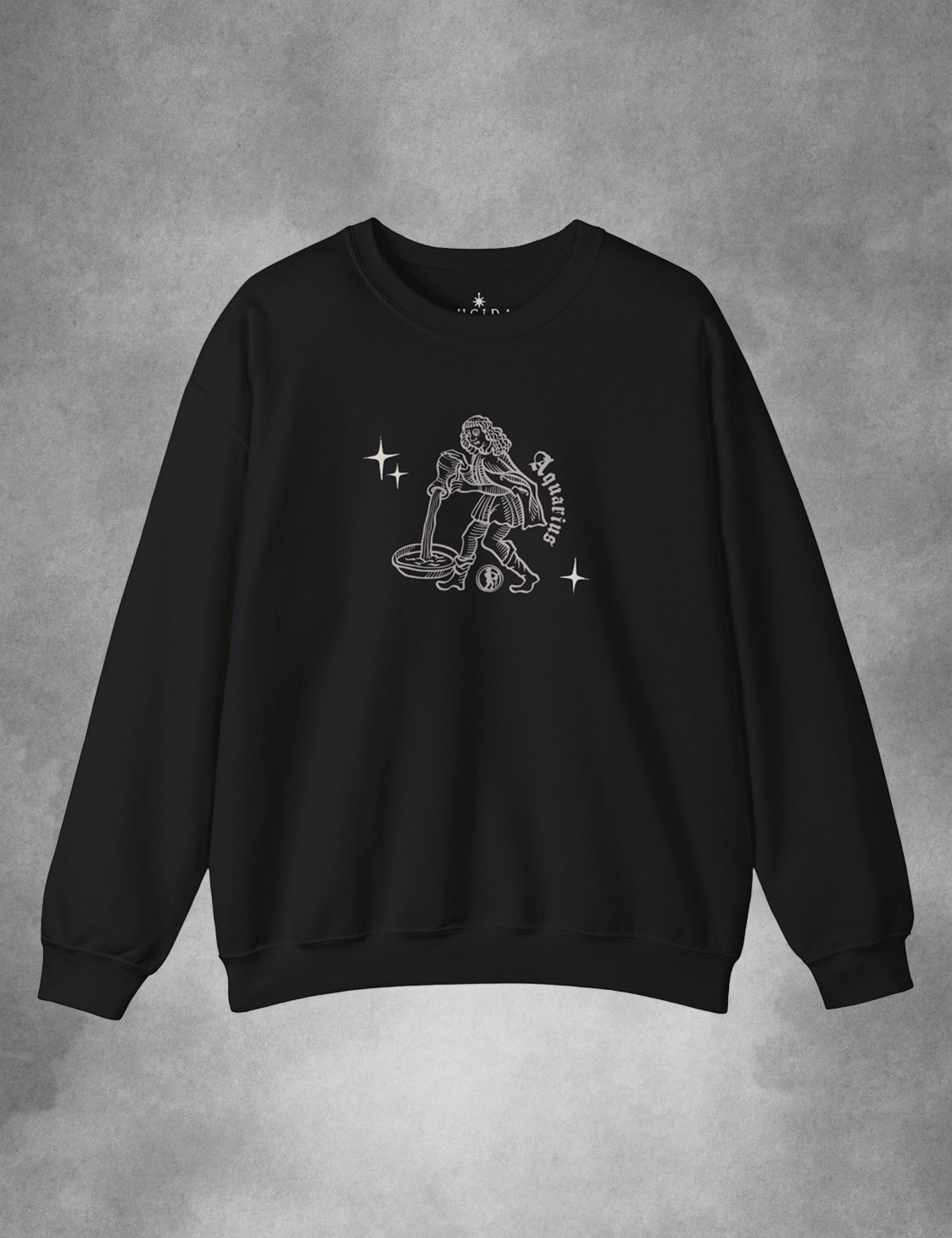 Aquarius Zodiac Sign Esoteric Astrology Occult Plus Size Goth Mystical Sweatshirt