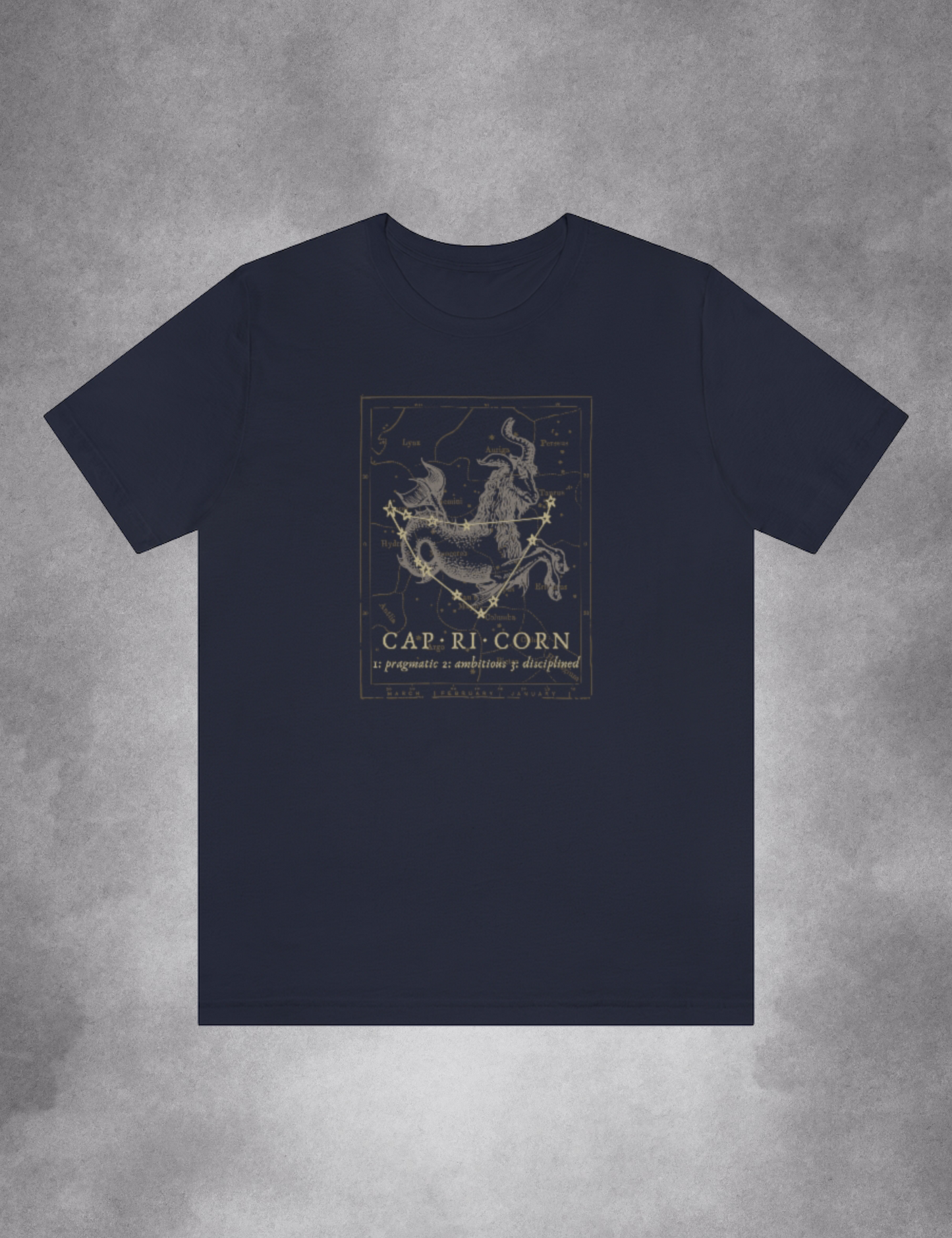 Dark Academia Aesthetic Outfits Capricorn Zodiac Shirt