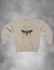 Dark Academia Aesthetic Carpe Diem Sweatshirt