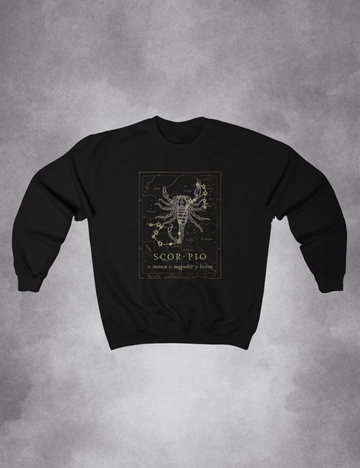 Mens Womens Dark Academia Aesthetic Outfits Scorpio Zodiac Sweatshirt