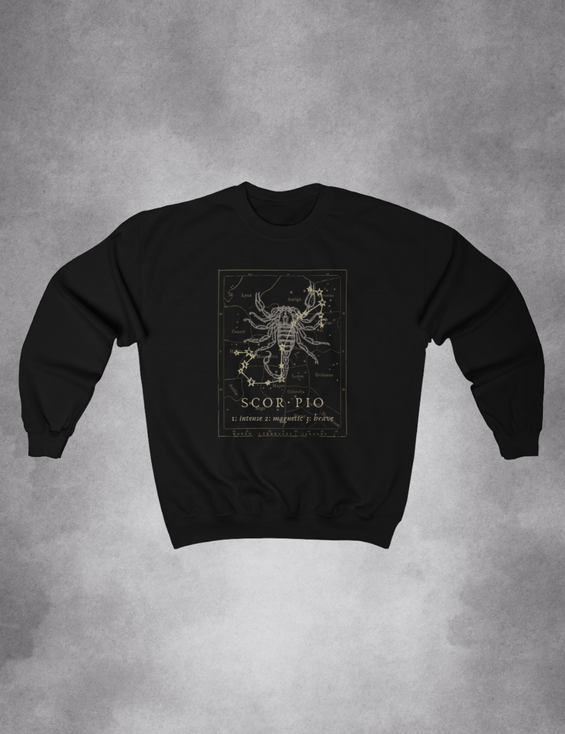 Mens Womens Dark Academia Aesthetic Outfits Scorpio Zodiac Sweatshirt