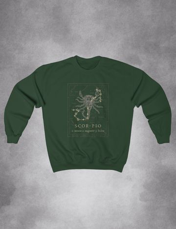Mens Womens Dark Academia Aesthetic Outfits Scorpio Zodiac Sweatshirt