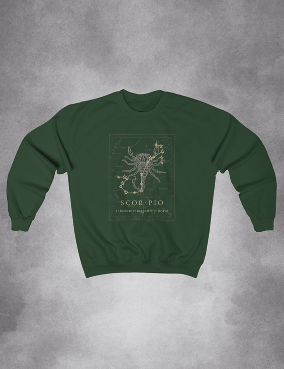 Mens Womens Dark Academia Aesthetic Outfits Scorpio Zodiac Sweatshirt