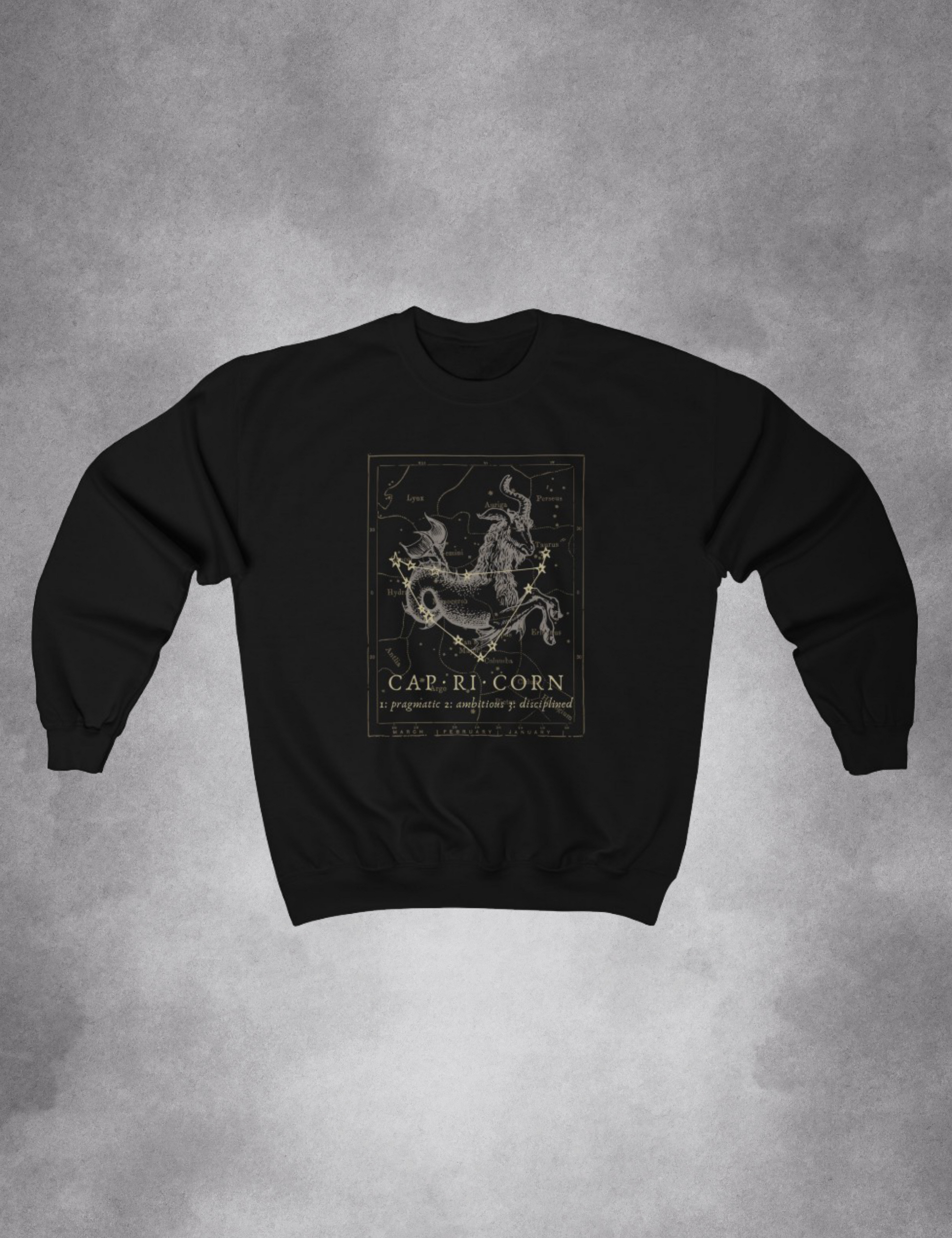 Dark Academia Aesthetic Outfits Capricorn Zodiac Sweatshirt