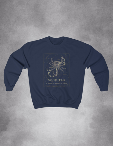 Mens Womens Dark Academia Aesthetic Outfits Scorpio Zodiac Sweatshirt