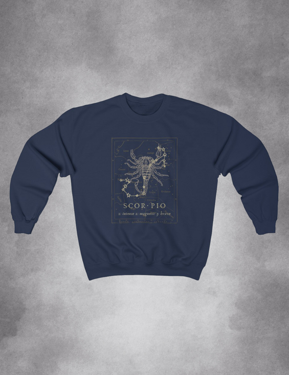 Mens Womens Dark Academia Aesthetic Outfits Scorpio Zodiac Sweatshirt