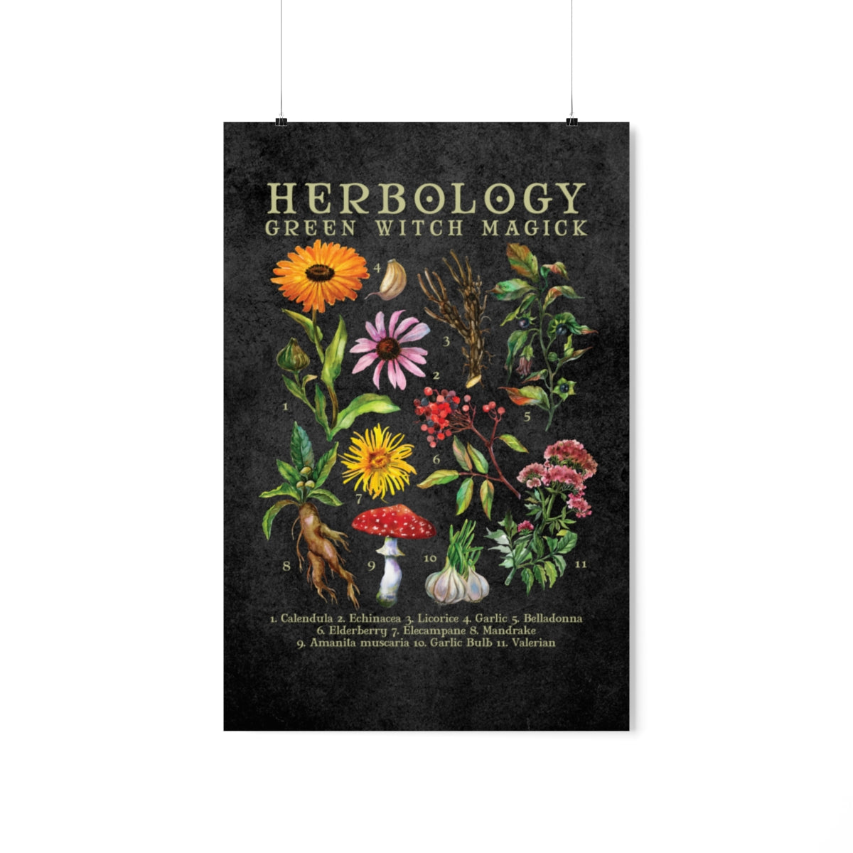 Green Witch Herbology Mushroom Poster