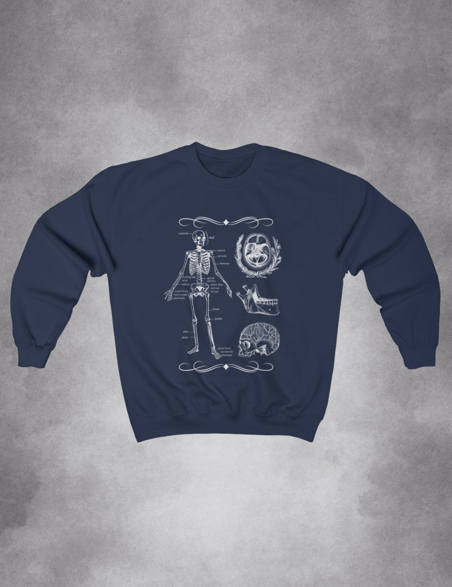 Dark Academia Skeleton Chart Sweatshirt