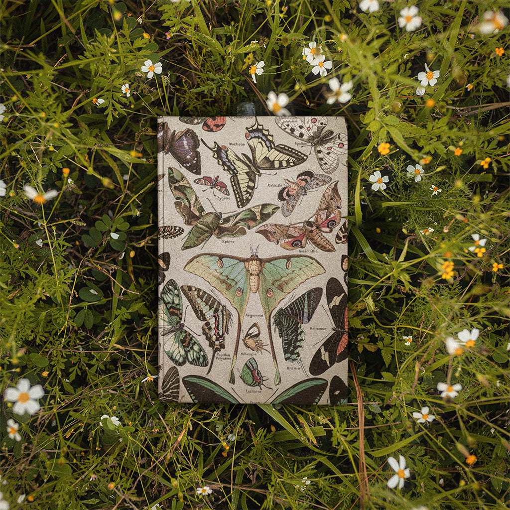 Fairy Grunge Cottagecore Butterflies Moths Aesthetic Hardcover Notebook